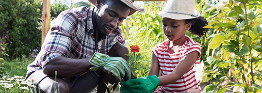With their green garden gloves, a father helps his daughter plant a flower.